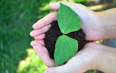 304am��������(�й�)���޹�˾-Official Website