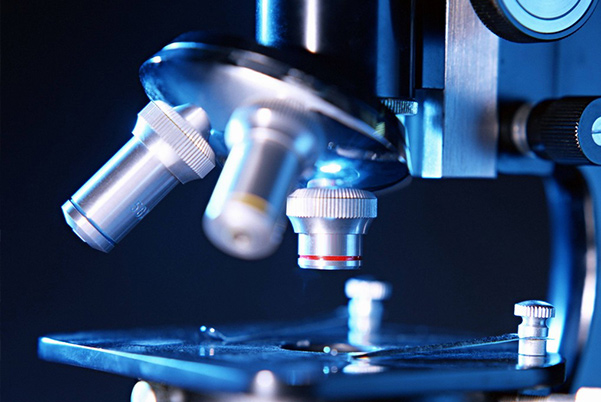 ��Ŀ�ܿ�����